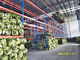 Sistemas en frío almacenamiento del estante de la plataforma de la manipulación de materiales para la industria de la confección